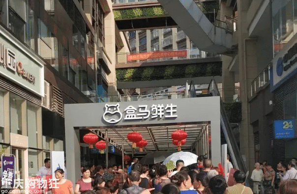 重庆盒马鲜生有几家店？据说2019开到第5家了，最新的一家在渝北