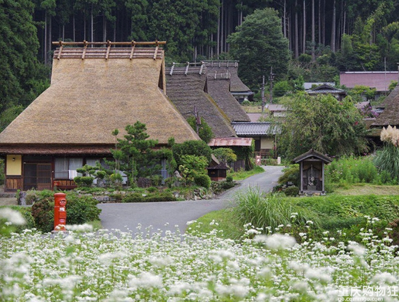 日本这个村子有点意思，因为消防设施成为打卡胜地