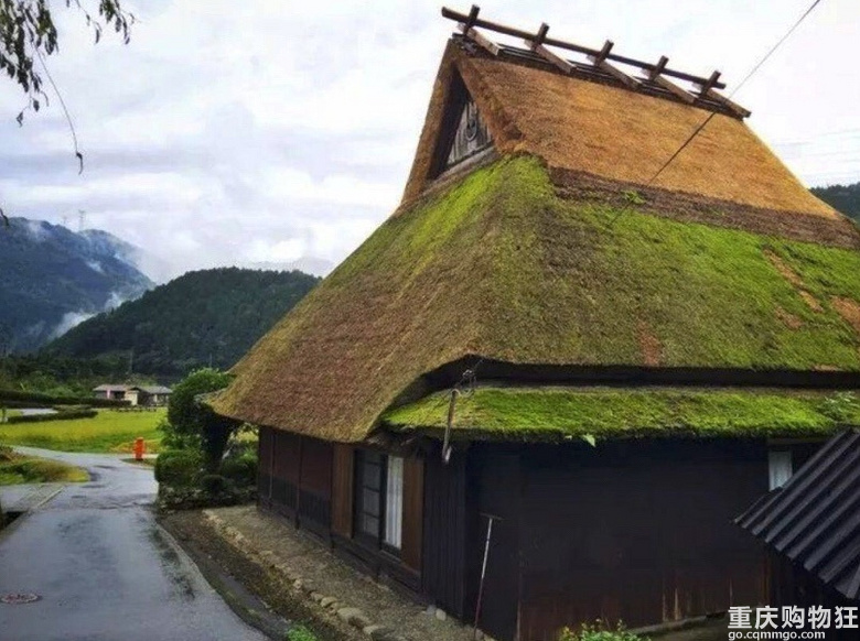 日本这个村子有点意思，因为消防设施成为打卡胜地
