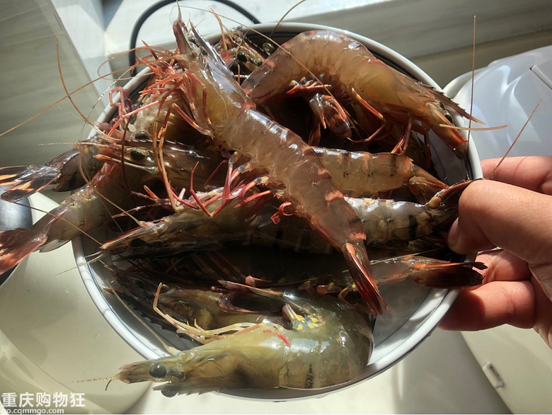 海陵岛海鲜美食，味美、价低、新鲜，全自己动手