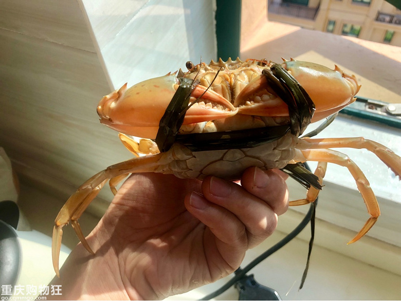 海陵岛海鲜美食，味美、价低、新鲜，全自己动手