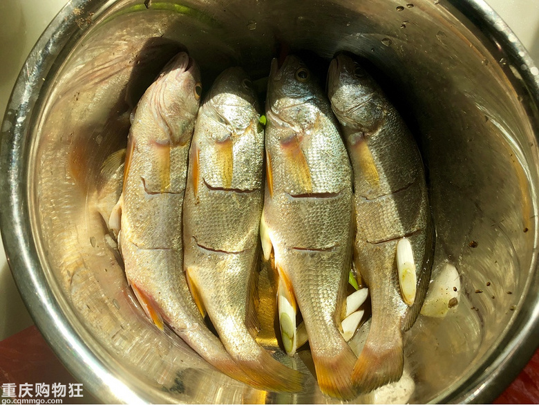 海陵岛海鲜美食，味美、价低、新鲜，全自己动手