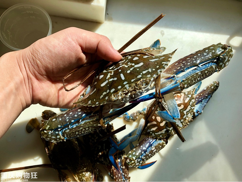 海陵岛海鲜美食，味美、价低、新鲜，全自己动手