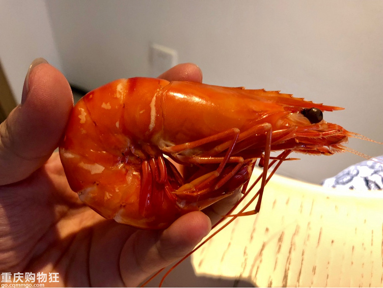 海陵岛海鲜美食，味美、价低、新鲜，全自己动手