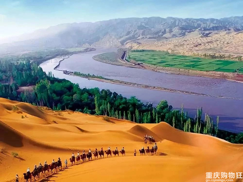 �����ƺ��޼�--Ұ������֮��+��2019���������μǡ�