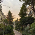 【为三个娃装个家】蔡家-排屋-端户-花园-七层-现代-土建ING