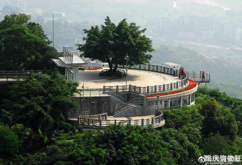 重庆南岸区的教育、交通、医疗、景点等，住