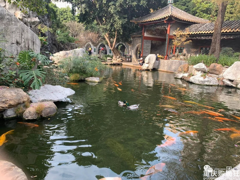 富贵险中求游记广州—珠海—澳门包含团品