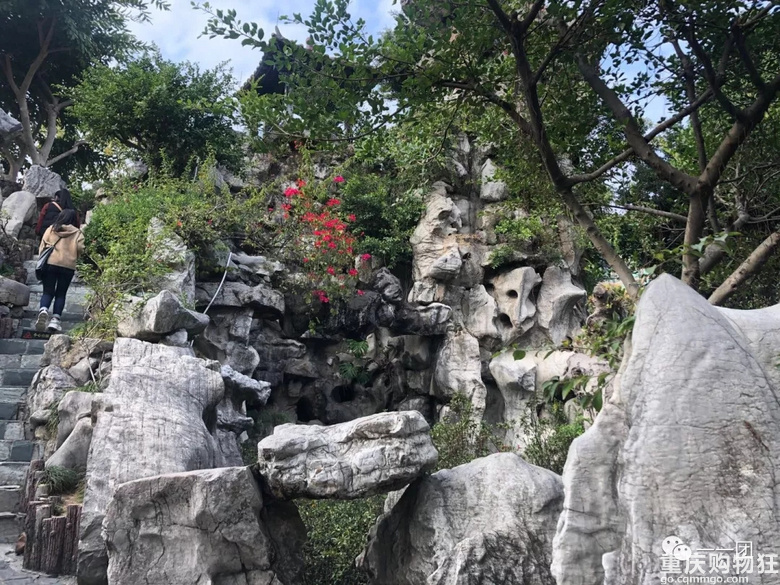 富贵险中求游记广州—珠海—澳门包含团品
