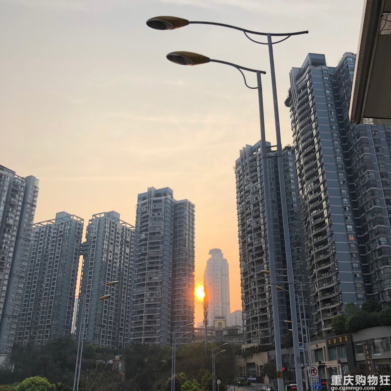 每年春天与黄葛古道有个约会