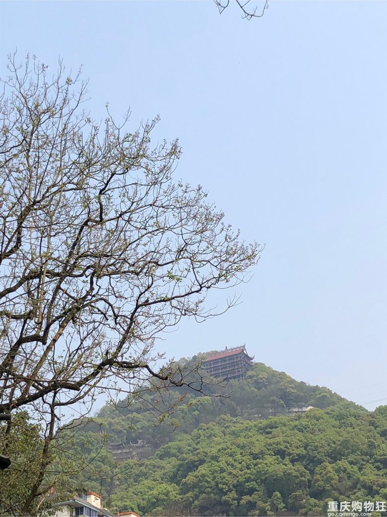 每年春天与黄葛古道有个约会