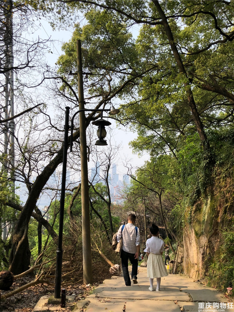 每年春天与黄葛古道有个约会