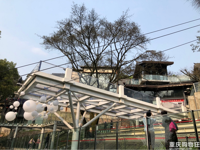 每年春天与黄葛古道有个约会