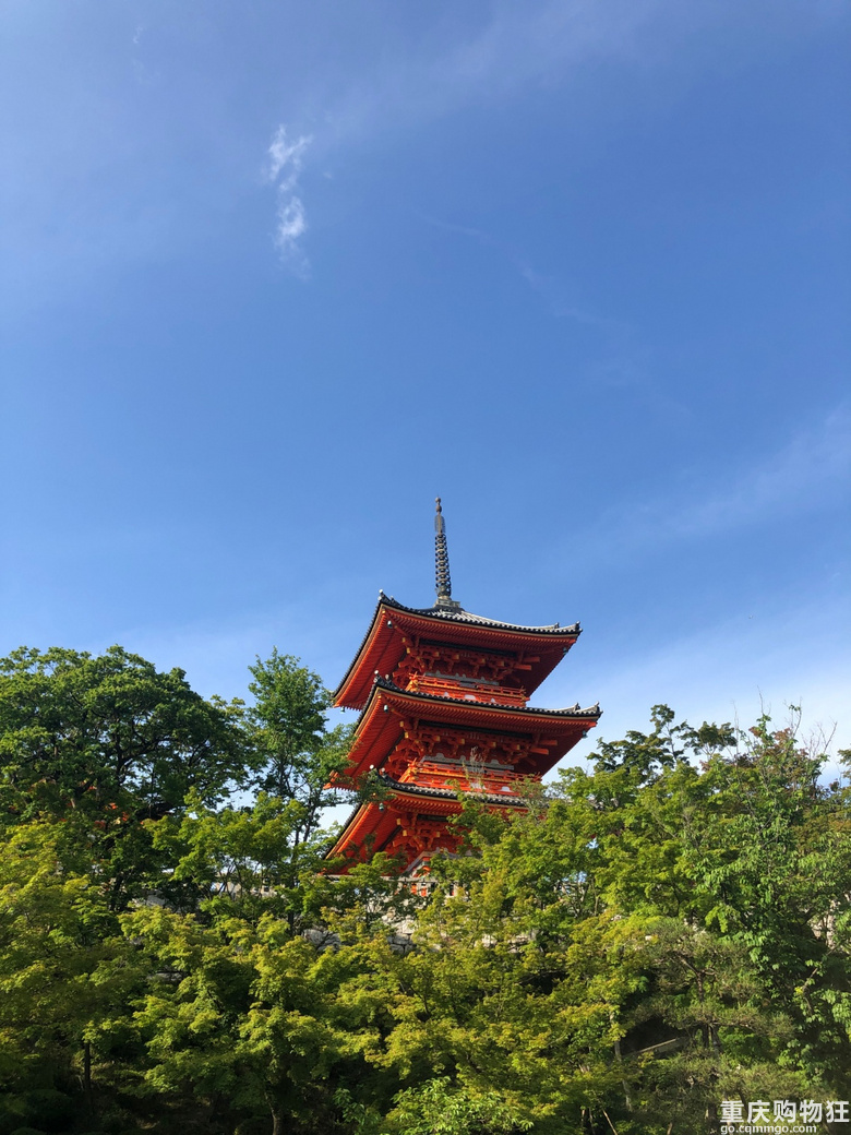 首席试睡官 第5期免费住南山后山新晋网红民宿 拍照超美 第2页 周边游 游山玩水 重庆购物狂