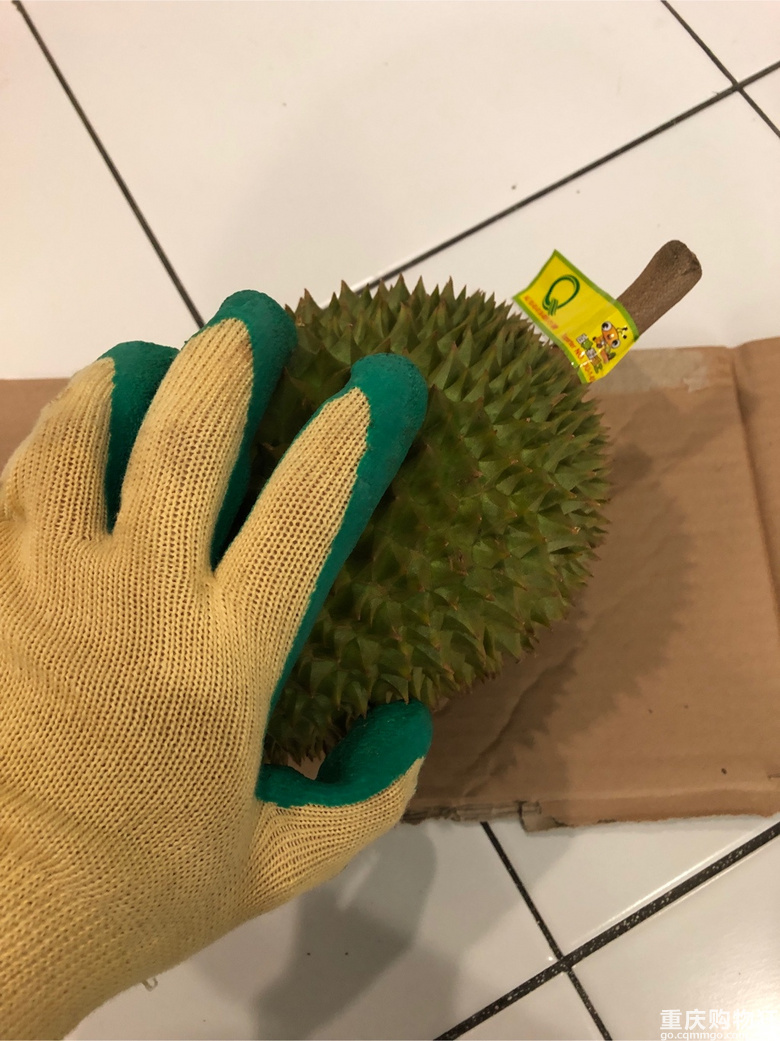 泰国猫山王榴莲！！！一口入魂！！！