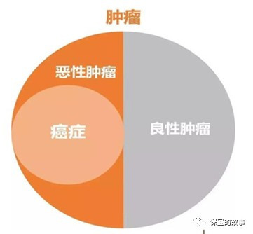 重大疾病之最低敌人-恶性肿瘤