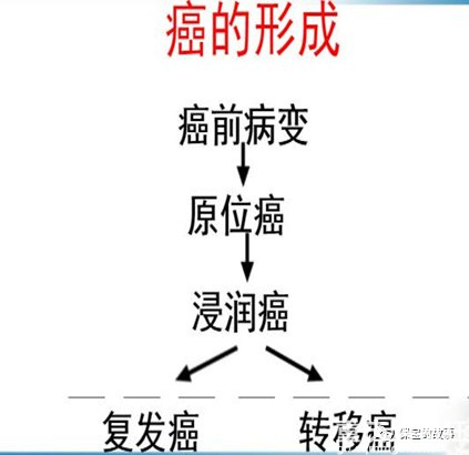 重大疾病之最低敌人-恶性肿瘤