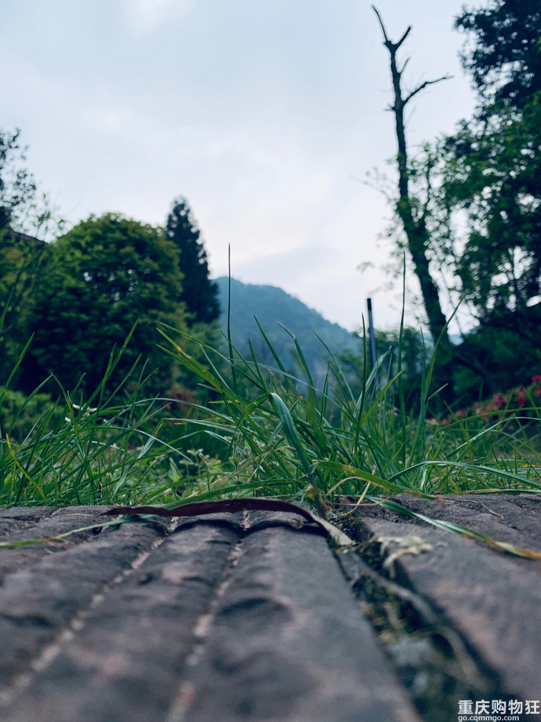 雨天踏青，别样风景丨江津四面山，竟然还有这样一个世外桃源。
