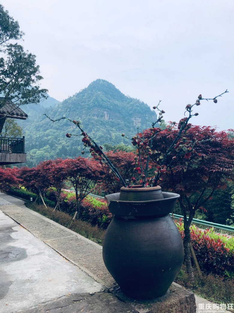 雨天踏青，别样风景丨江津四面山，竟然还有这样一个世外桃源。