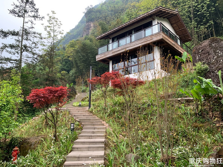 雨天踏青，别样风景丨江津四面山，竟然还有这样一个世外桃源。