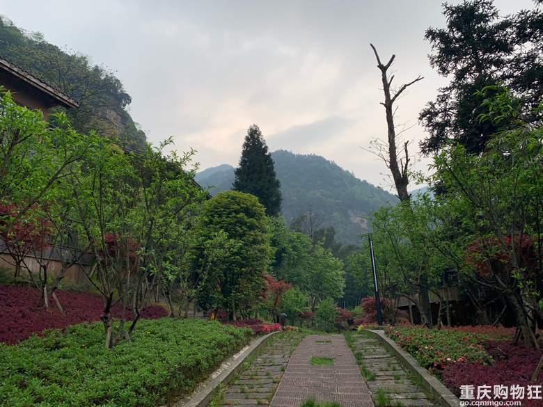 雨天踏青，别样风景丨江津四面山，竟然还有这样一个世外桃源。