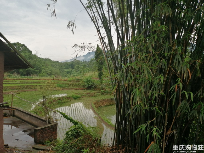 天热了，到山上喂蚊子去