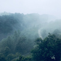 好久没有感受到这样的早晨了_图3