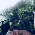 好久没有感受到这样的早晨了_图5