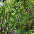 周末登南山步道，品茶闲谈与大自然亲密接触【周末去哪儿第5期】