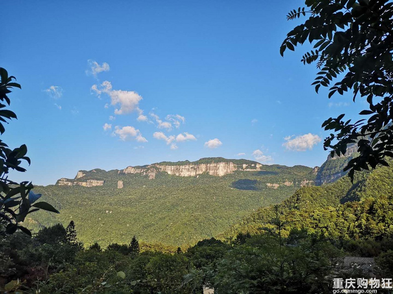 又回金佛山修仙