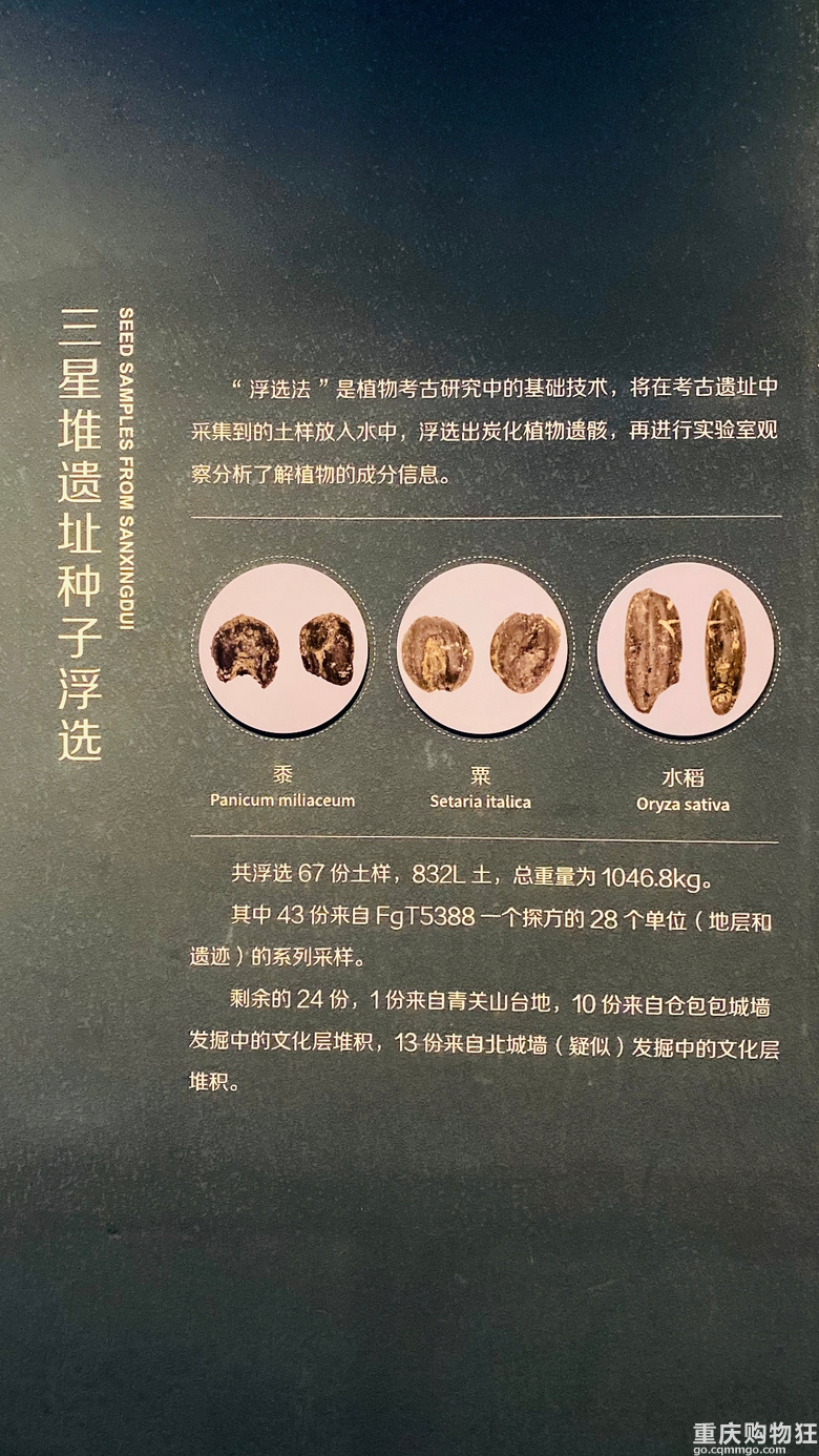 探神秘文明：世界九大奇迹之1——广汉三星堆