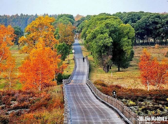2020年10月2~11日大兴安岭看彩林