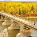 2020年10月2~11日大兴安岭看彩林