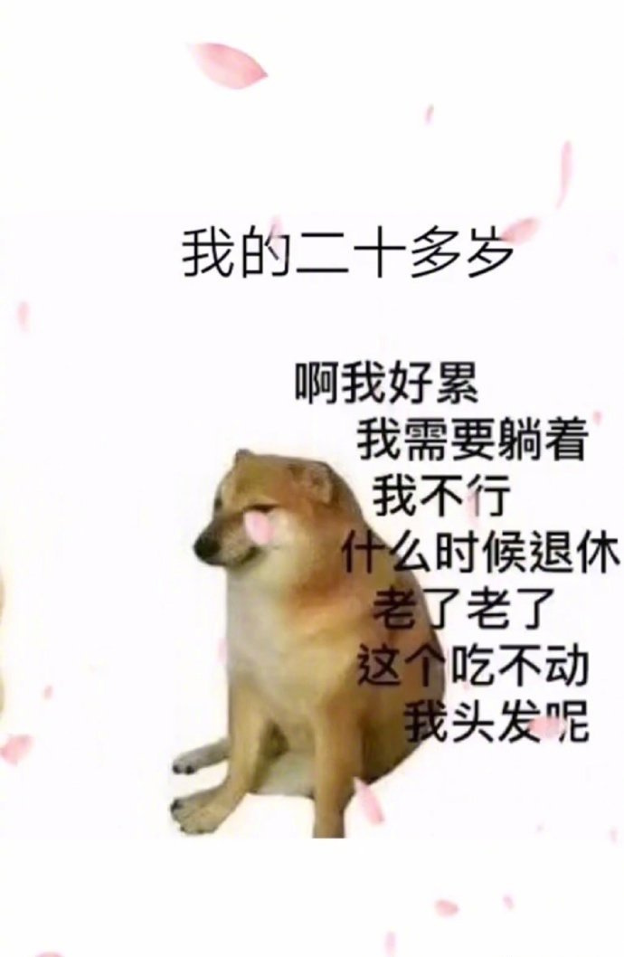 父母的20岁和我的20岁