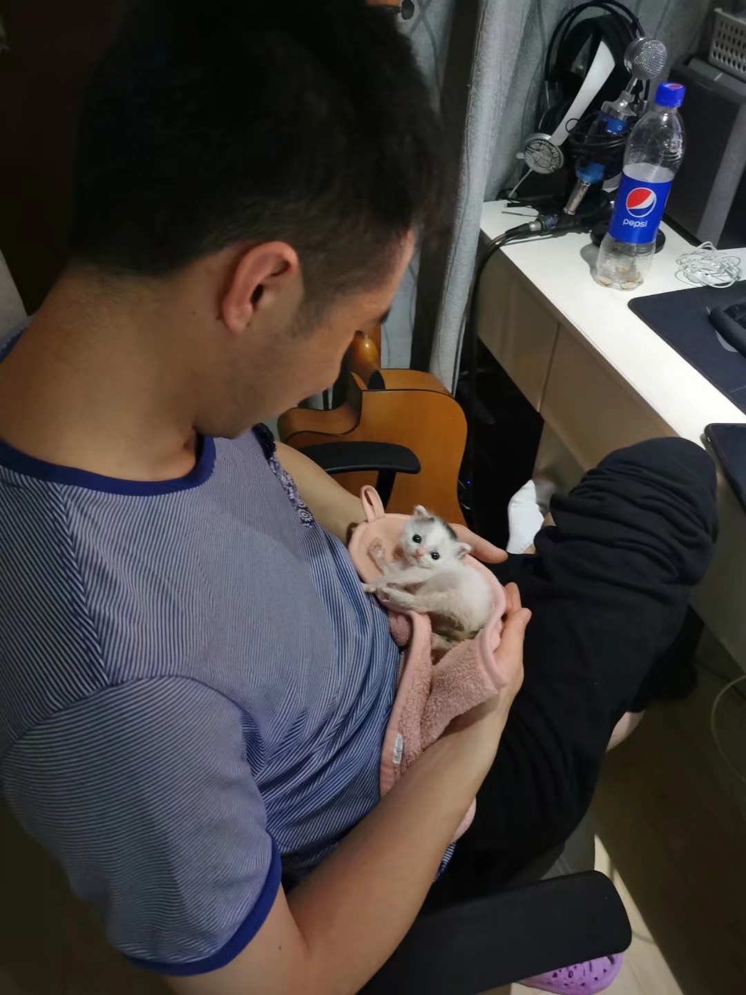 捡到一只刚出生的小奶猫，把它养大，是什么感觉？