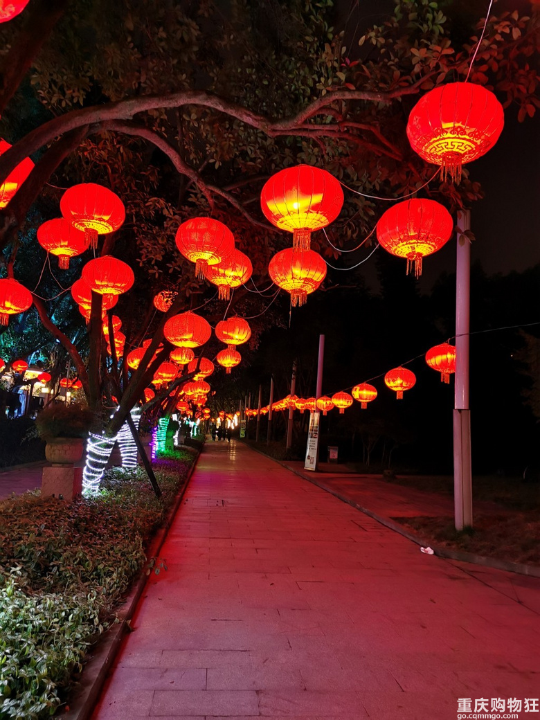 打卡南泉灯会