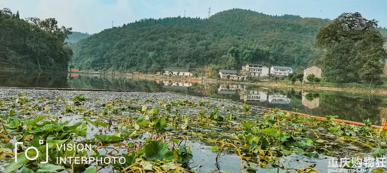 风景好，水质好，塘子大，鱼