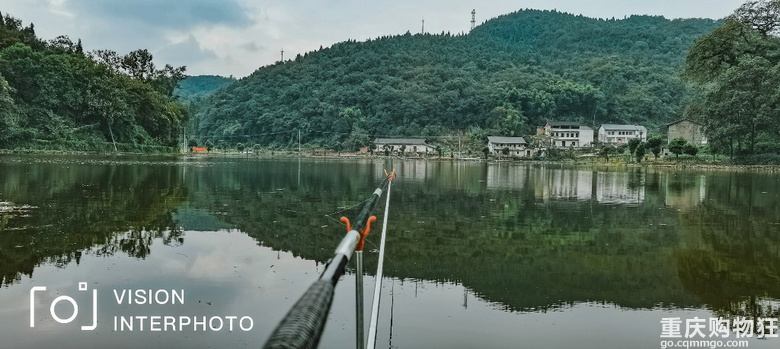 风景好，水质好，塘子大，鱼