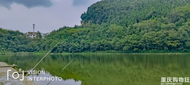 风景好，水质好，塘子大，鱼