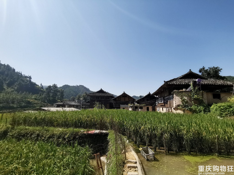 侗族苗寨游