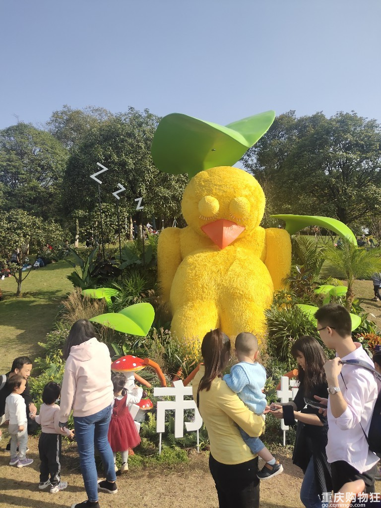 花博会-秋游记【2020国庆游记】