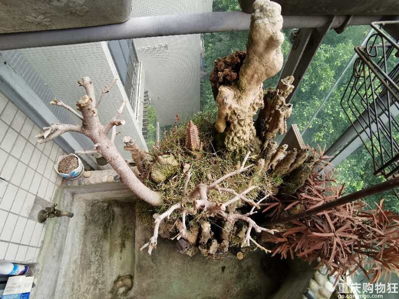 我家无水源，楼下下雨就漏水，请各位大佬帮忙看看什么原因