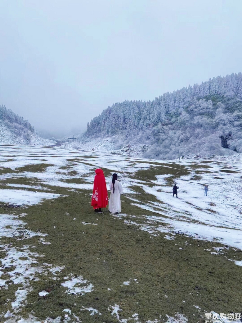 仙女山的第一场初雪，美得手机都能拍出大片【2020秋冬游】