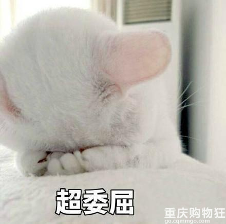 因疫情不想参加姐姐婚礼，姐姐要和我断绝关系？