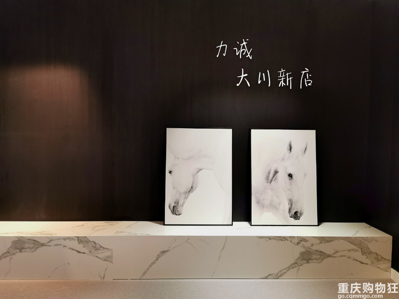 远程代购，给妈妈买的指纹锁非常适合老年人【探力诚大川新店】