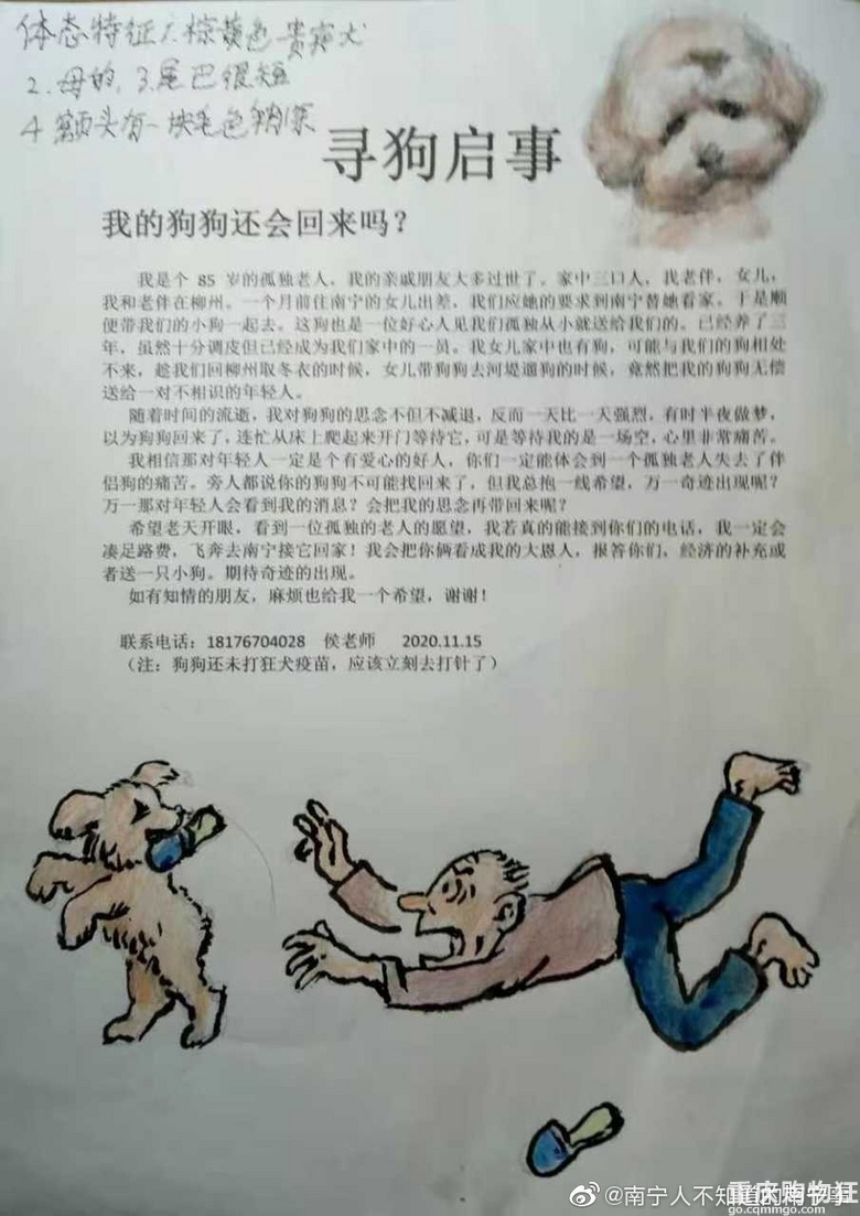 85岁老人养三年爱犬被女儿送给陌生人