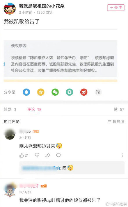 陈凯歌举报吐槽自己的up主，表面上接受一切批评，私下却举报别人