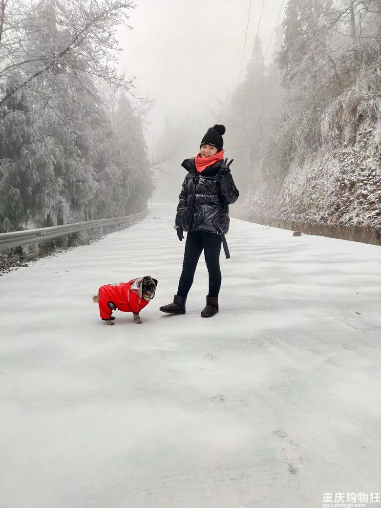 华蓥山带狗子览雪2021.1.7【2021新春游】
