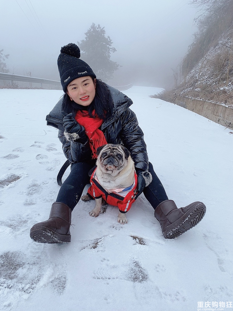 华蓥山带狗子览雪2021.1.7【2021新春游】