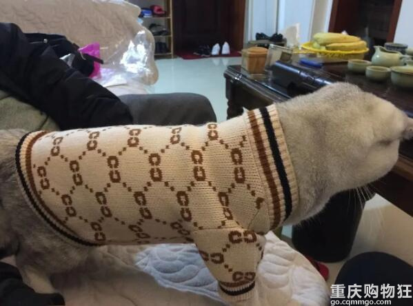 怕猫冷，爸妈在并夕夕给猫猫买了个丑衣服……